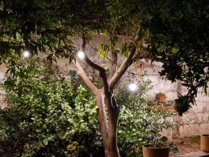 Casa Vacanze Nonna Maria