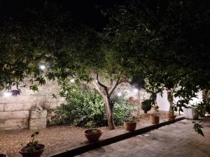 Casa Vacanze Nonna Maria