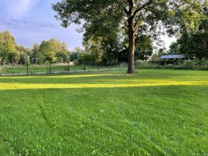 Dom na wyłączność