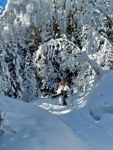 Chalets Magnifique ferme ancienne datant de 1877 : photos des chambres