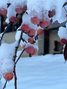 Chalets Magnifique ferme ancienne datant de 1877 : photos des chambres