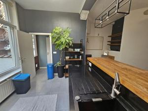 cosy appartement Ortelius