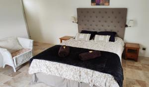 Appartements Chambre cosy avec terrasse sur la colline boisee, parking prive, jardin, calme, climatisation, 10 mn pont du Gard num7 : photos des chambres