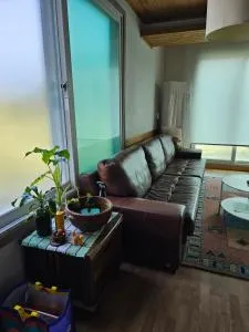 New stay dear - 忠州市