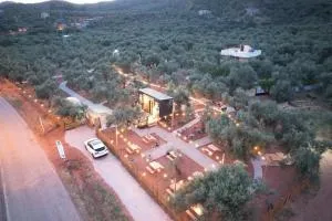 Vamos Camping - 库古库俞