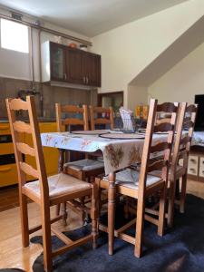 SanMari_forest