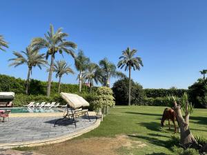 Luxury Villa - King Mariout