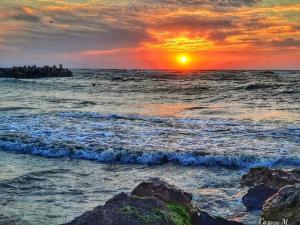 Vila Marea Venusului