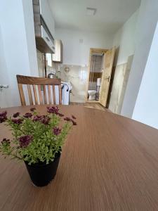 Apartment Phillip Studio