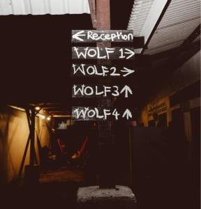 House of Wolves Hostel