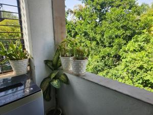 Air Purifier - Sun-lit 1BHK Suite with big kitchen 9