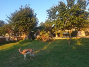 Luxurious Hideaway Villa