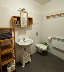 Apartmán Nisa Bedřichov