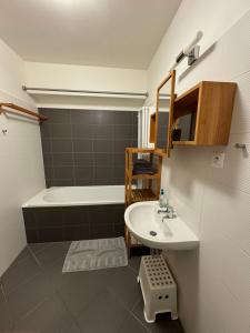 Apartmán Nisa Bedřichov