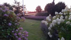 Guldbjerghus apartment