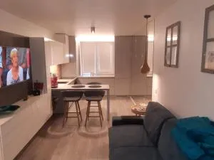 Cozy Three Bedroom Apartment - 克雷廷加