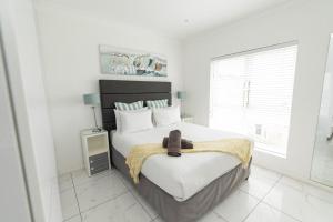 Dolphins View Luxury Apartment