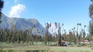 Tengger Indah Seruni Bromo