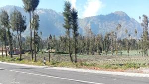 Tengger Indah Seruni Bromo