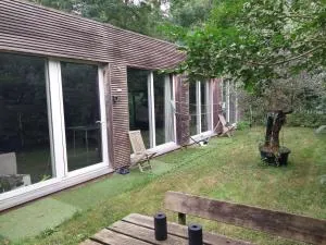 Lake Harelbeke - Zwevegem