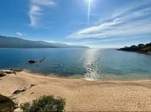 Pieds dans l'eau, sur une plage - 提乌克西亚