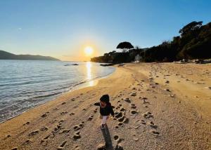 Appartements Pieds dans l-eau, sur une plage : photos des chambres