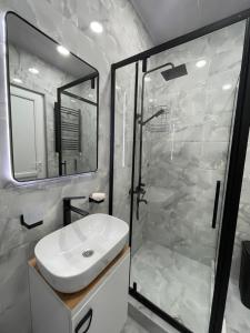 Modern apartment in Borjomi