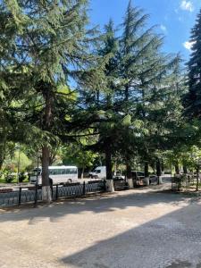 Modern apartment in Borjomi