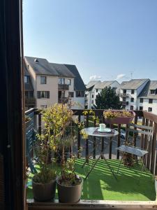 Appartements t2 aux portes de Deauville : photos des chambres