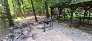 Slovak cottage near Bratislava in the heart of the Carpathians