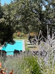 Résidence Casarella Lama - Urtaca