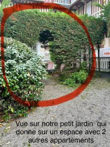 Appartements Petit Souplex dans l-hypercentre de Cabourg 80 m de la mer a pied : photos des chambres