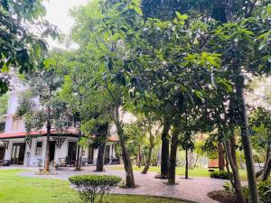 Tranquility Holiday Home