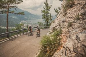 Cristallo Sport & Wellness Hotel