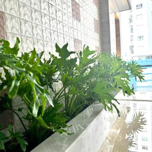 Cozy Room with Balcony Central 10mins to Airport Maihouse