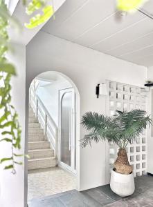 UDMS On Nut 10 - Bangkoks Charm 40 sqm