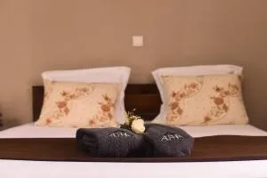 Domaine Alpha - Tamatave - 图阿马西纳