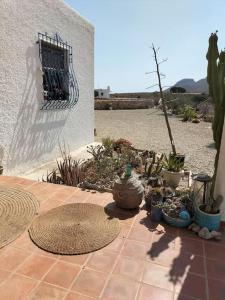 Cortijo El Ventorrillo de Agua Amarga