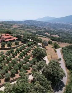 Tenuta Raimo - Controne