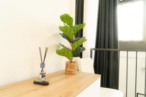 Appartement 1 Chambre