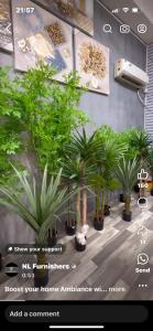 Chintpurni Dham Rooms