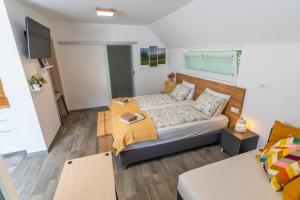 Studio Maria with Free Parking