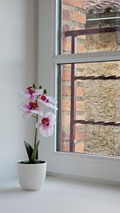 La Fontaine gîte de charme à 12min du Puy duFou