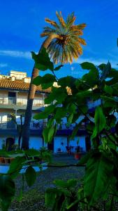 Andalusian Courtyard