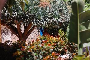 Old Fishermans Corner 16 - Centro Old Town Albufeira