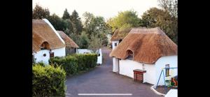 Thatched 1 person Cottage
