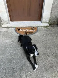 B&B La Majella Me - Scafa