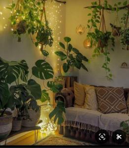 Alojamiento ideal, las palmas