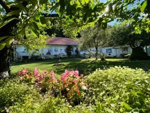 Malom Udvar Vendégház - Pécsvárad