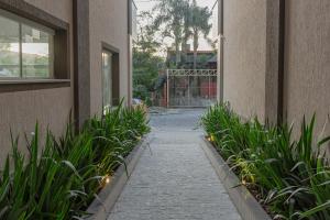 Mirante de Bombas: Apto a 5 minutos da Praia P1001